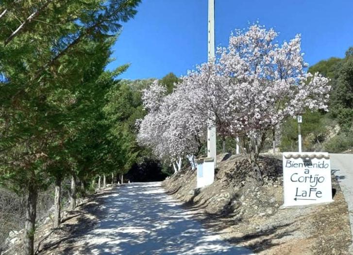Cortijo La Fe Guest House Montefrío Eksteriør bilde