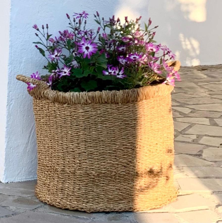 Cortijo La Fe Guest House Montefrío Eksteriør bilde