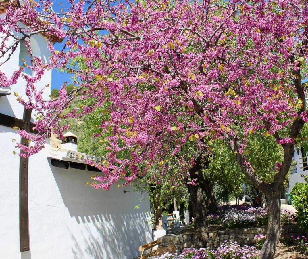 Cortijo La Fe Guest House Montefrío Eksteriør bilde