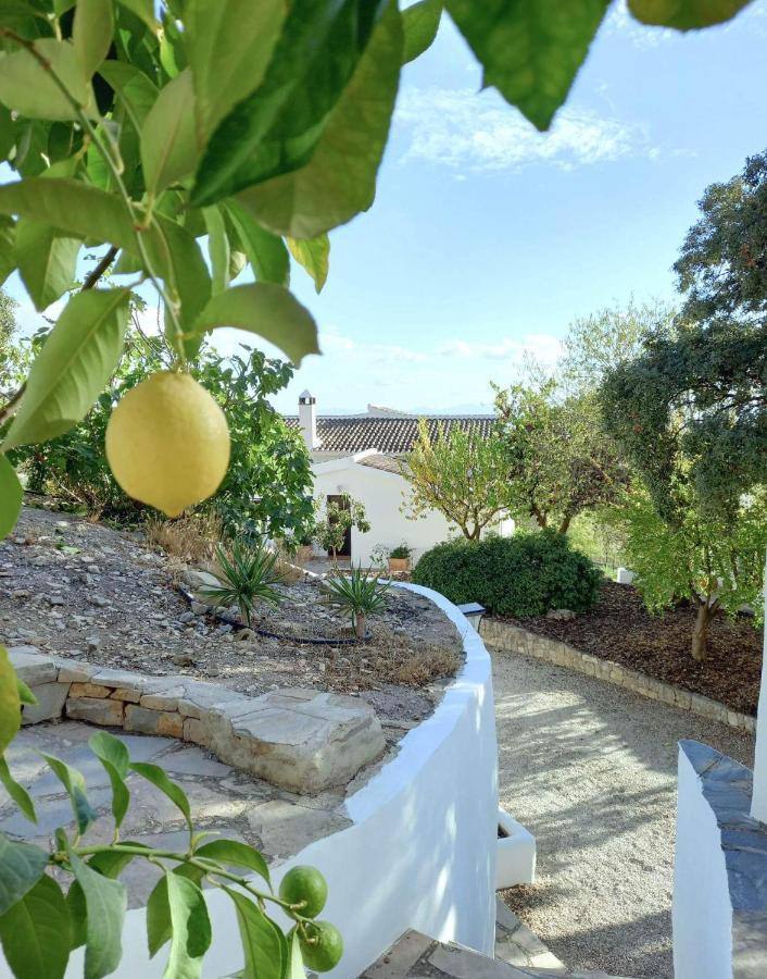 Cortijo La Fe Guest House Montefrío Eksteriør bilde