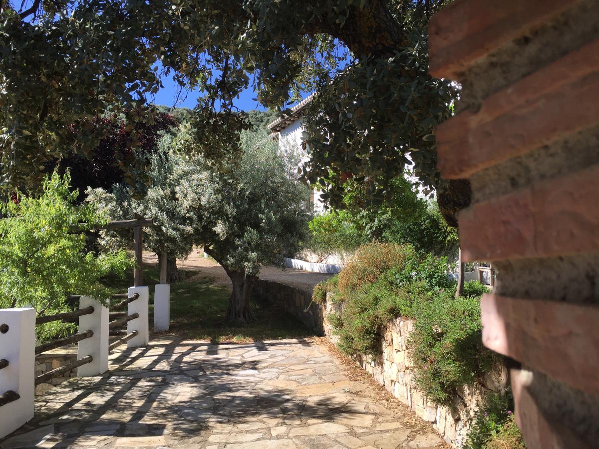Cortijo La Fe Guest House Montefrío Eksteriør bilde